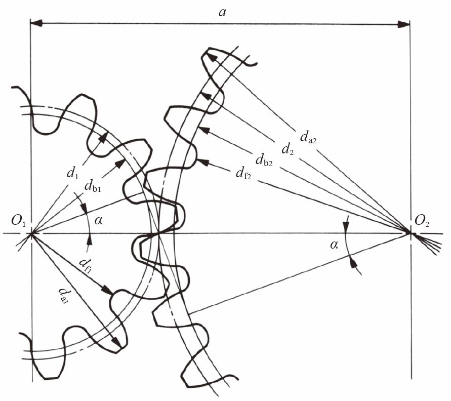 Meshing of standard spur gears